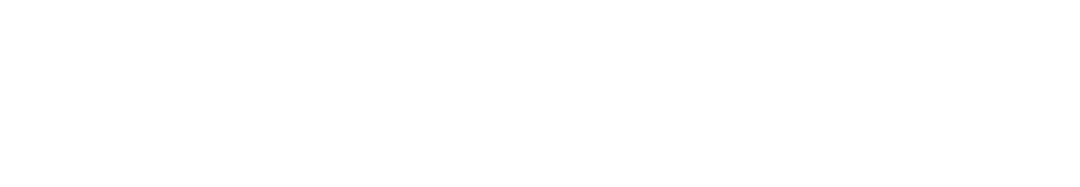 Dunedin City Council Logo